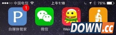 滴滴拉屎 逆天App未出先火！