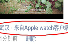 朋友圈显示来自Apple watch客户端教程