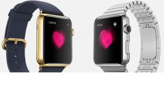 苹果保证开发者4月28日42毫米运动版AppleWatch可发货