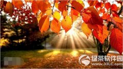 win10手机正式版什么时候发布