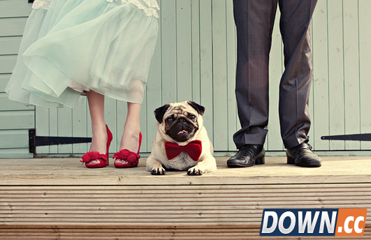 苹果手表玩心跳 AppleWatch或成相亲社交平台