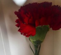 一号专车5月10日感恩回馈妈妈乘客