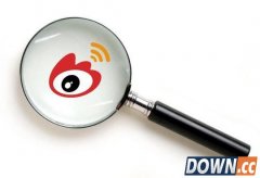 新浪微博联手Socialbakers推社交产品