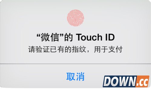 微信怎么指纹支付