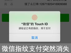 微信指纹支付突然消失怎么办