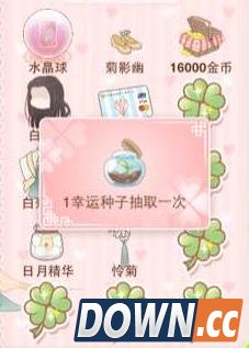 暖暖环游世界白菊悠然位置