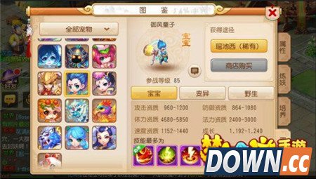 85级宠物御风童子