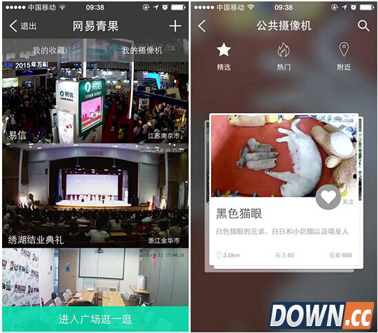 易信亮相南交会