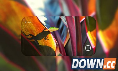 Win11手机概念图