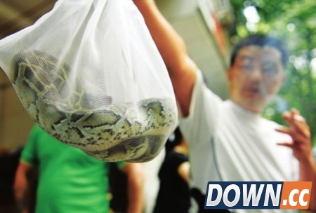 淘宝网购莫违法 当心被判刑