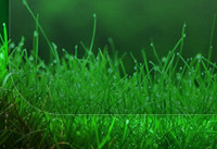 win10正式版毛玻璃特效怎么开启 win10正式版如何打开毛玻璃特效