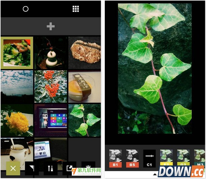 VSCO上手使用评测