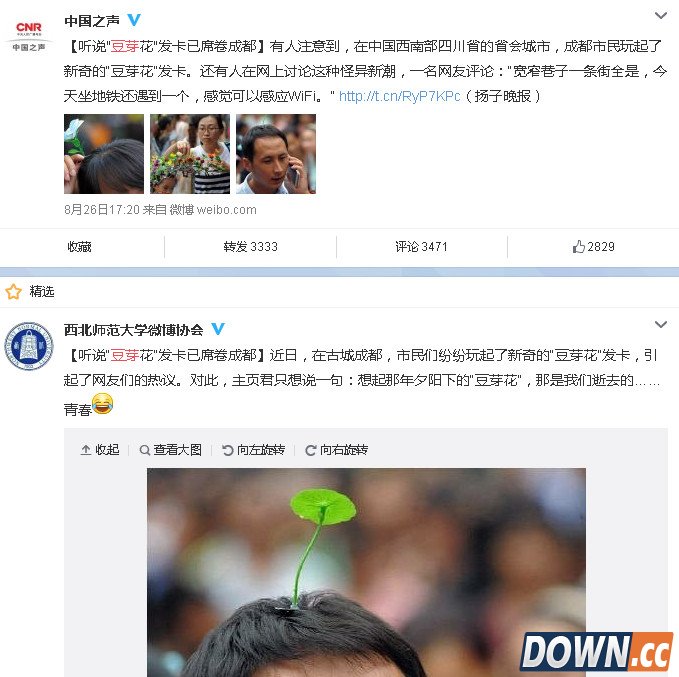 “豆芽花”发夹淘宝疯抢