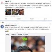 成都“豆芽花”发夹流行 淘宝也疯抢