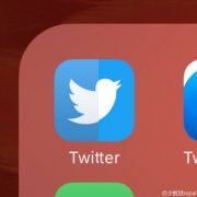 twitter图标颜色更换 双色推特app图标新发现