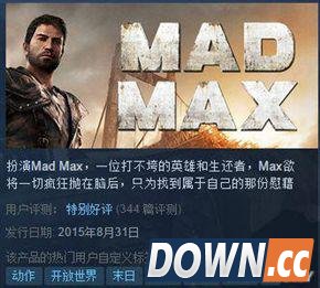 《疯狂的麦克斯》Steam平台获99%好评