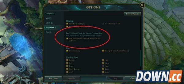 LOL新英雄确认为黑白双子