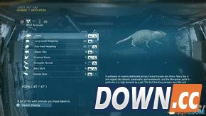 合金装备幻痛全动物收集攻略