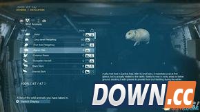 合金装备幻痛全动物收集攻略