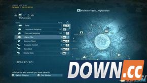 合金装备幻痛全动物收集攻略