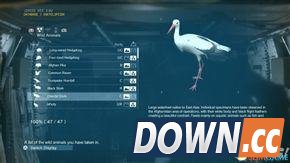 合金装备幻痛全动物收集攻略