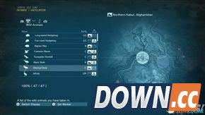 合金装备幻痛全动物收集攻略