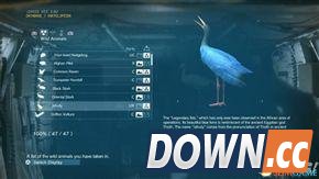 合金装备幻痛全动物收集攻略