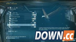 合金装备幻痛全动物收集攻略