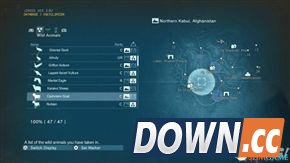 合金装备5：幻痛 全动物收集攻略 怎么收集全部动物