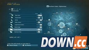 合金装备5：幻痛 全动物收集攻略 怎么收集全部动物