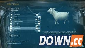 合金装备幻痛全动物收集攻略