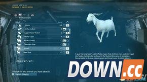 合金装备幻痛全动物收集攻略