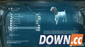 合金装备幻痛全动物收集攻略