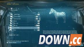 合金装备5：幻痛 全动物收集攻略 怎么收集全部动物