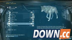 合金装备5：幻痛 全动物收集攻略 怎么收集全部动物