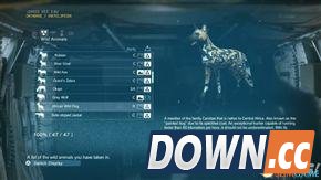 合金装备5：幻痛 全动物收集攻略 怎么收集全部动物