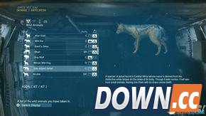 合金装备5：幻痛 全动物收集攻略 怎么收集全部动物