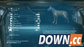 合金装备5：幻痛 全动物收集攻略 怎么收集全部动物