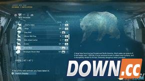 合金装备5：幻痛 全动物收集攻略 怎么收集全部动物