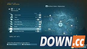 合金装备5：幻痛 全动物收集攻略 怎么收集全部动物