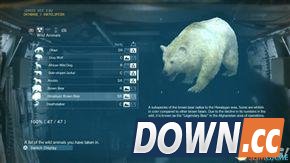 合金装备5：幻痛 全动物收集攻略 怎么收集全部动物