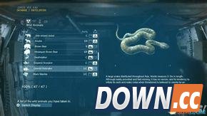 合金装备5：幻痛 全动物收集攻略 怎么收集全部动物