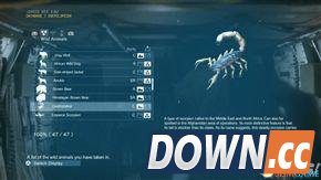 合金装备5：幻痛 全动物收集攻略 怎么收集全部动物