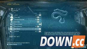 合金装备5：幻痛 全动物收集攻略 怎么收集全部动物