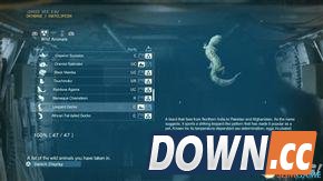 合金装备5：幻痛 全动物收集攻略 怎么收集全部动物