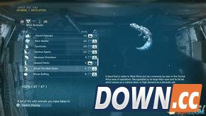 合金装备5：幻痛 全动物收集攻略 怎么收集全部动物