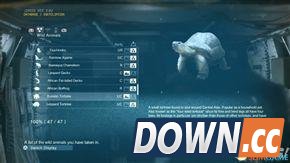 合金装备5：幻痛 全动物收集攻略 怎么收集全部动物