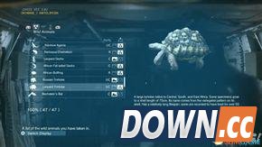 合金装备5：幻痛 全动物收集攻略 怎么收集全部动物