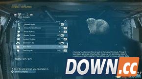 合金装备5：幻痛 全动物收集攻略 怎么收集全部动物