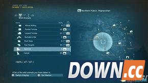 合金装备5：幻痛 全动物收集攻略 怎么收集全部动物